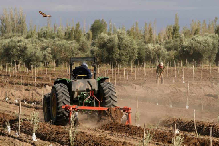 Tractor Arando Finca Lecumberri