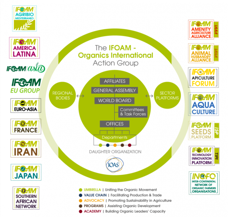 Ifoam
