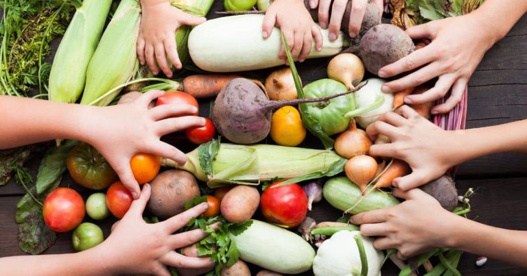 La búsqueda de prácticas alimentarias más saludables están en crecimiento y la agricultura orgánica emerge como una alternativa sostenible.