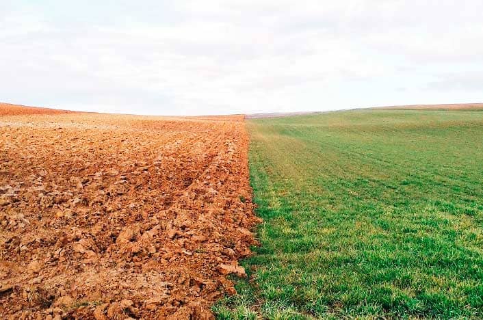 Cambio Climático y la Agricultura Orgánica.