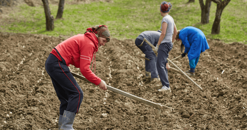 Agricultura Familiar en la producción orgánica